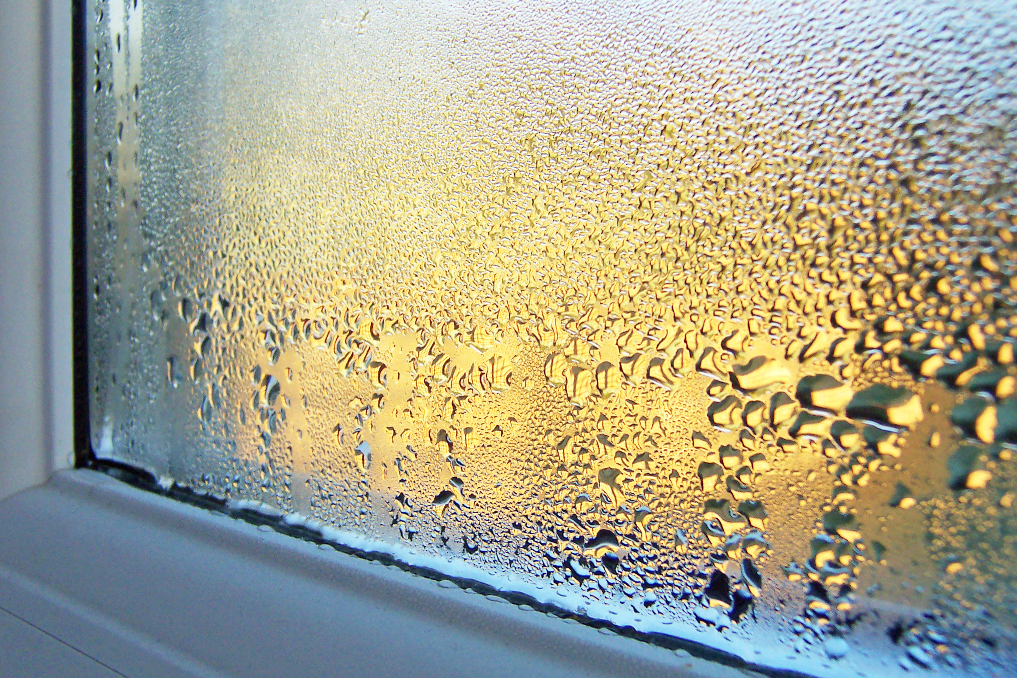 Why Is There Condensation on My Windows?